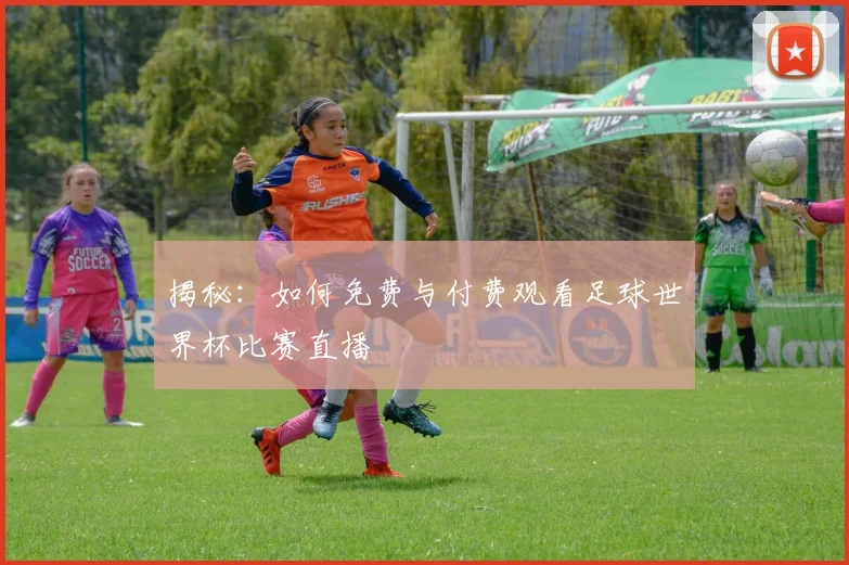 揭秘：如何免费与付费观看足球世界杯比赛直播