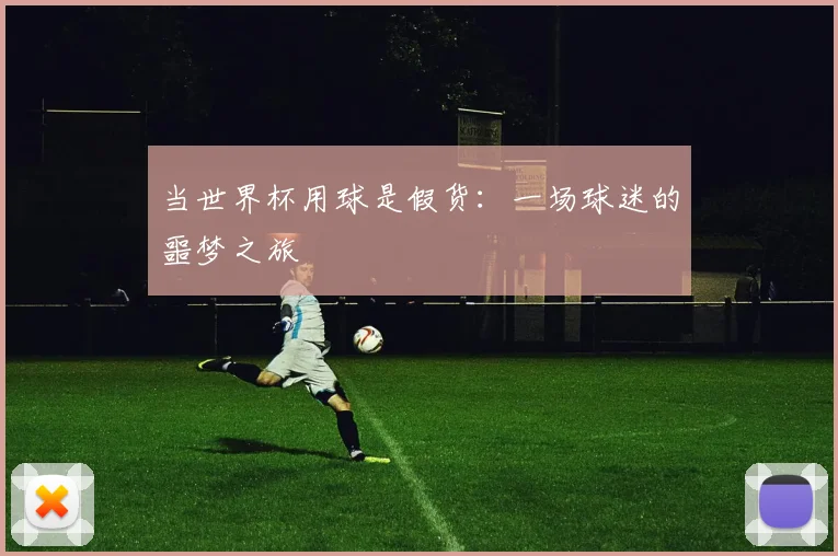 当世界杯用球是假货：一场球迷的噩梦之旅